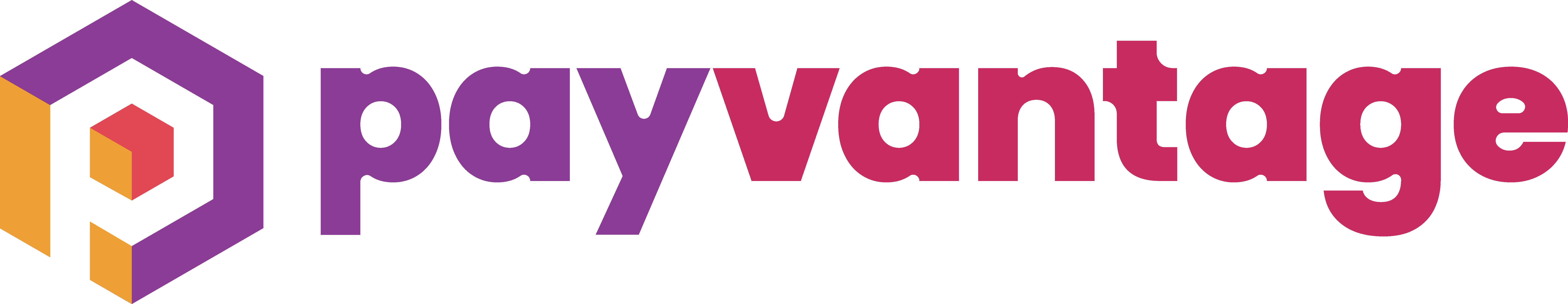 Payvantage Logo